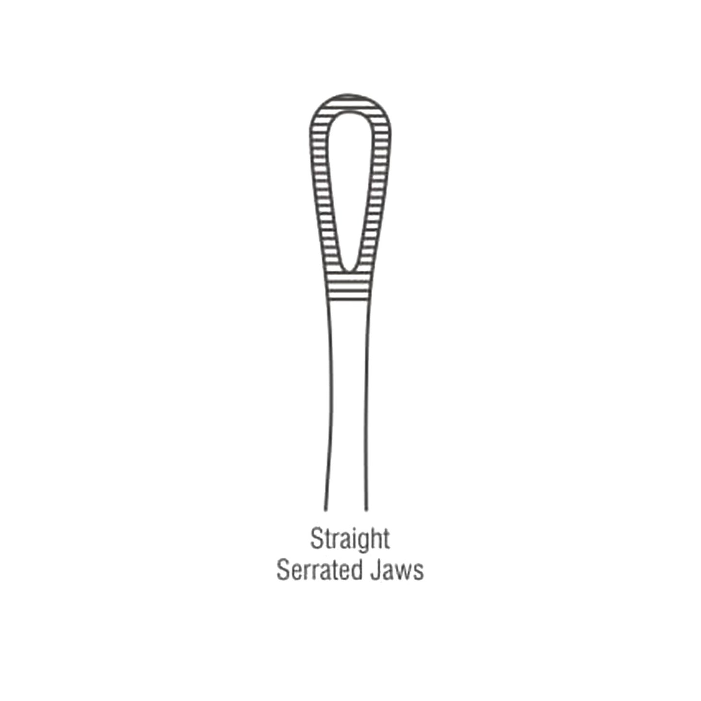 Rampley-Sponge-Holding-Forceps-Working-End.jpg