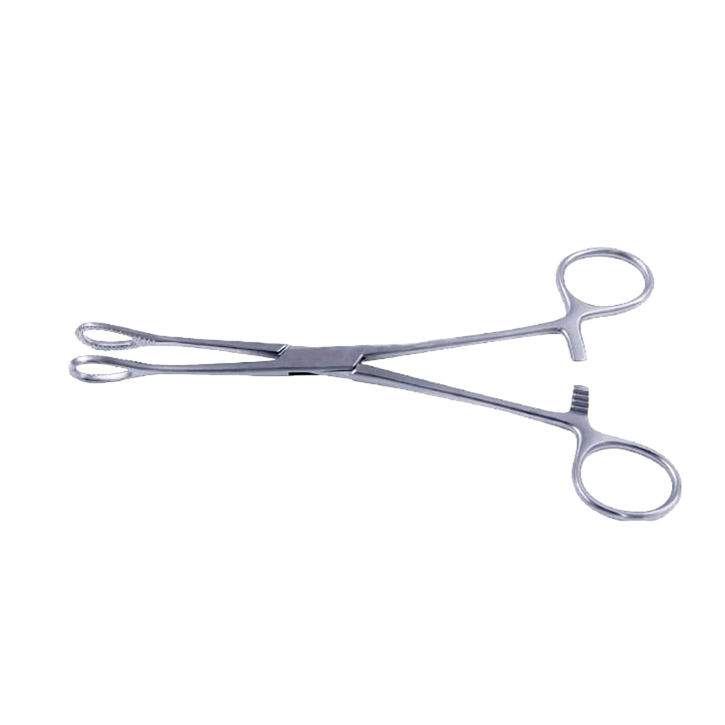 Foerster-Sponge-Holding-For-1.jpg