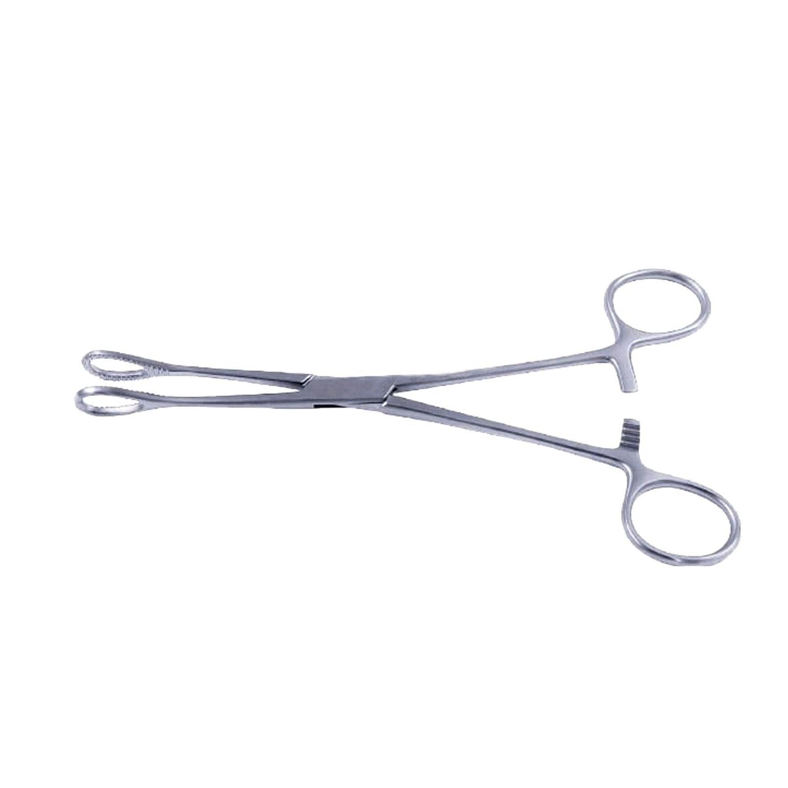 Foerster-Sponge-Holding-For-1.jpg