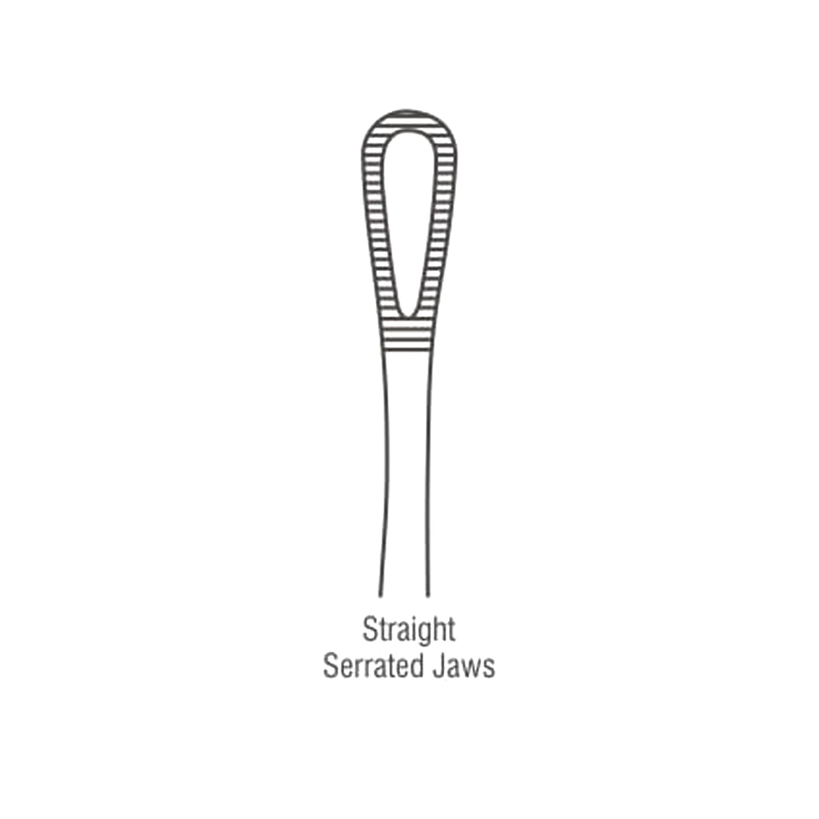 Rampley-Sponge-Holding-Forceps-Working-End.jpg